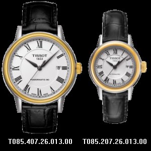 T085.207.26.013.00